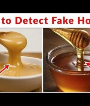 Pure Honey vs Fake Honey