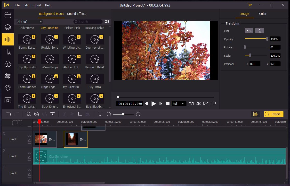 AceMovi Editing Capabilities